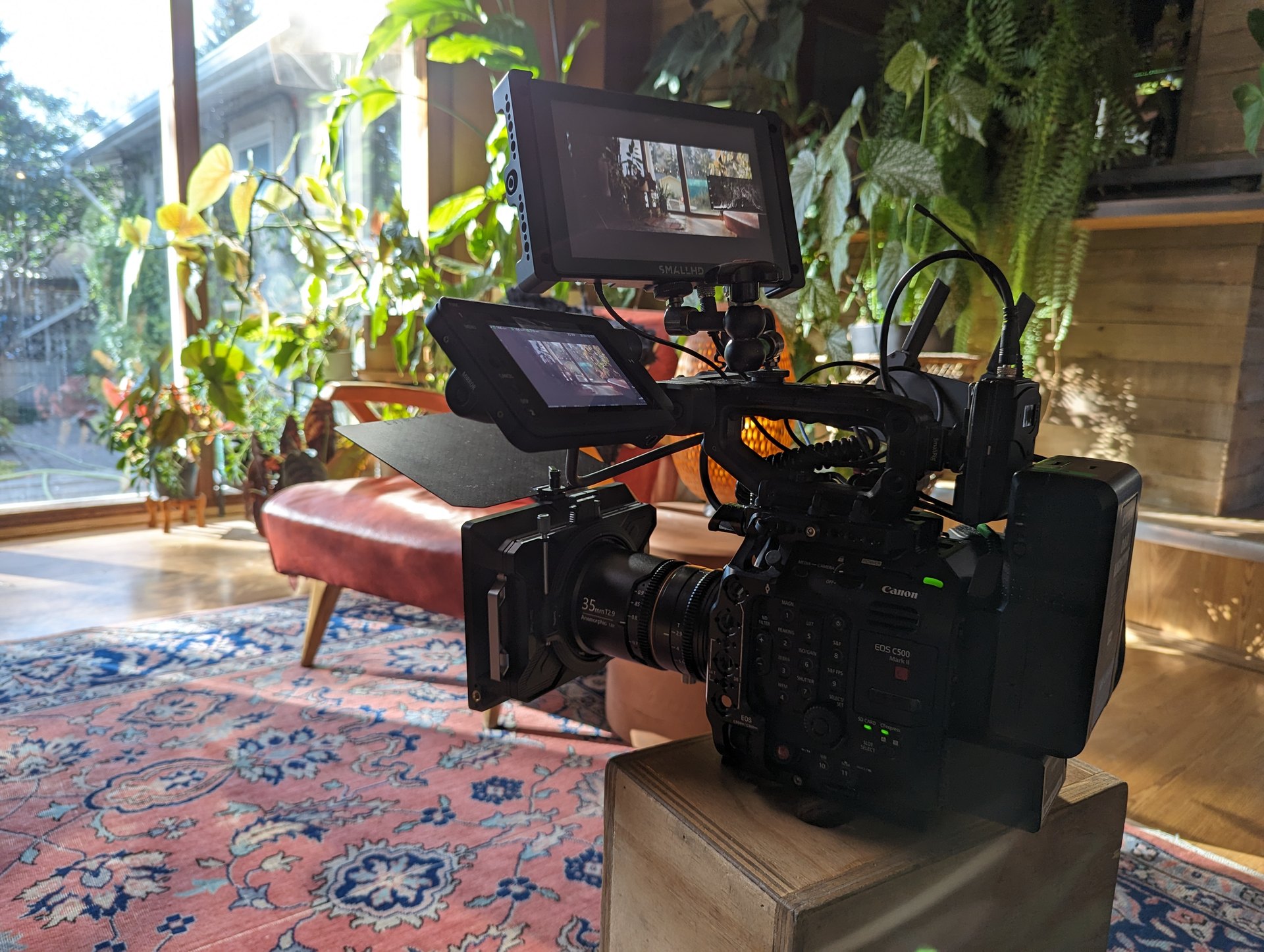 Canon C500 MKII with an anamorphic prime lens on a plant-filled interview set