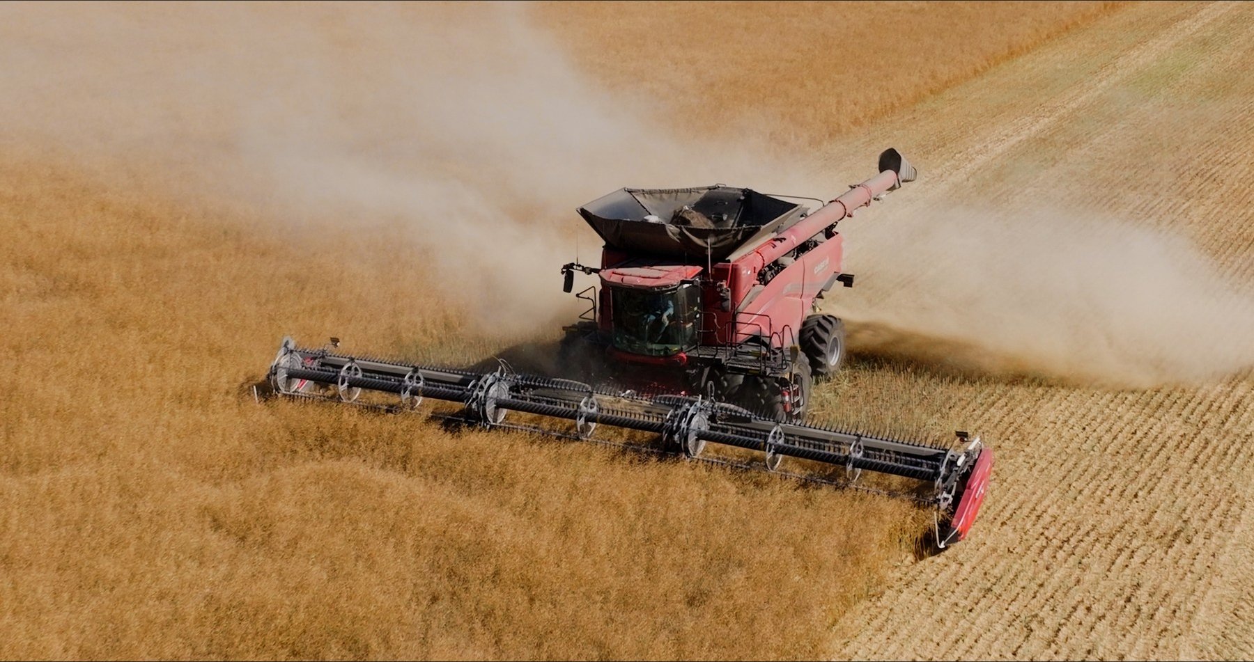 Aerial drone — Case IH combine harvesting wheat