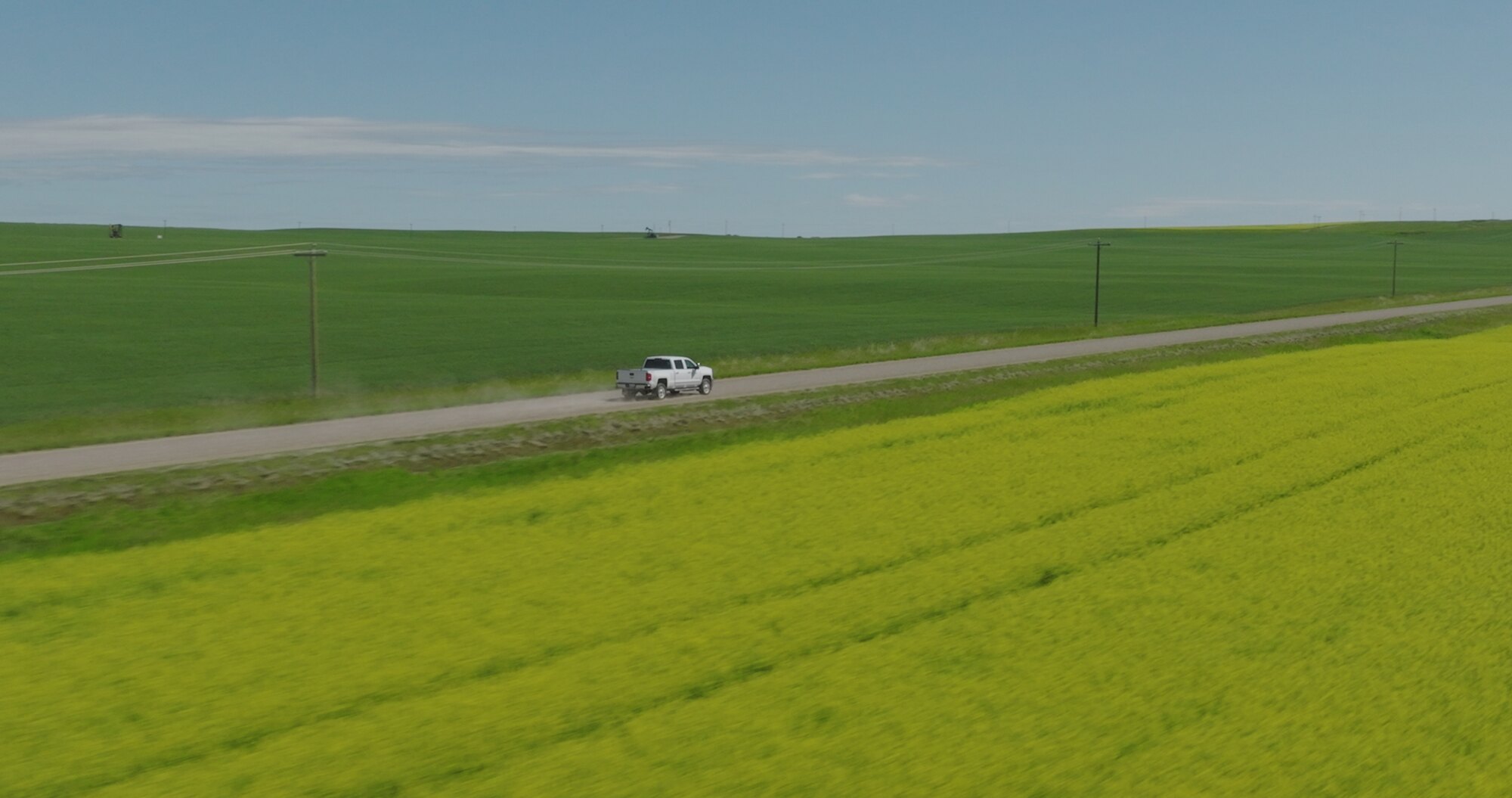 Prairie road cutting through canola fields, aerial drone photo