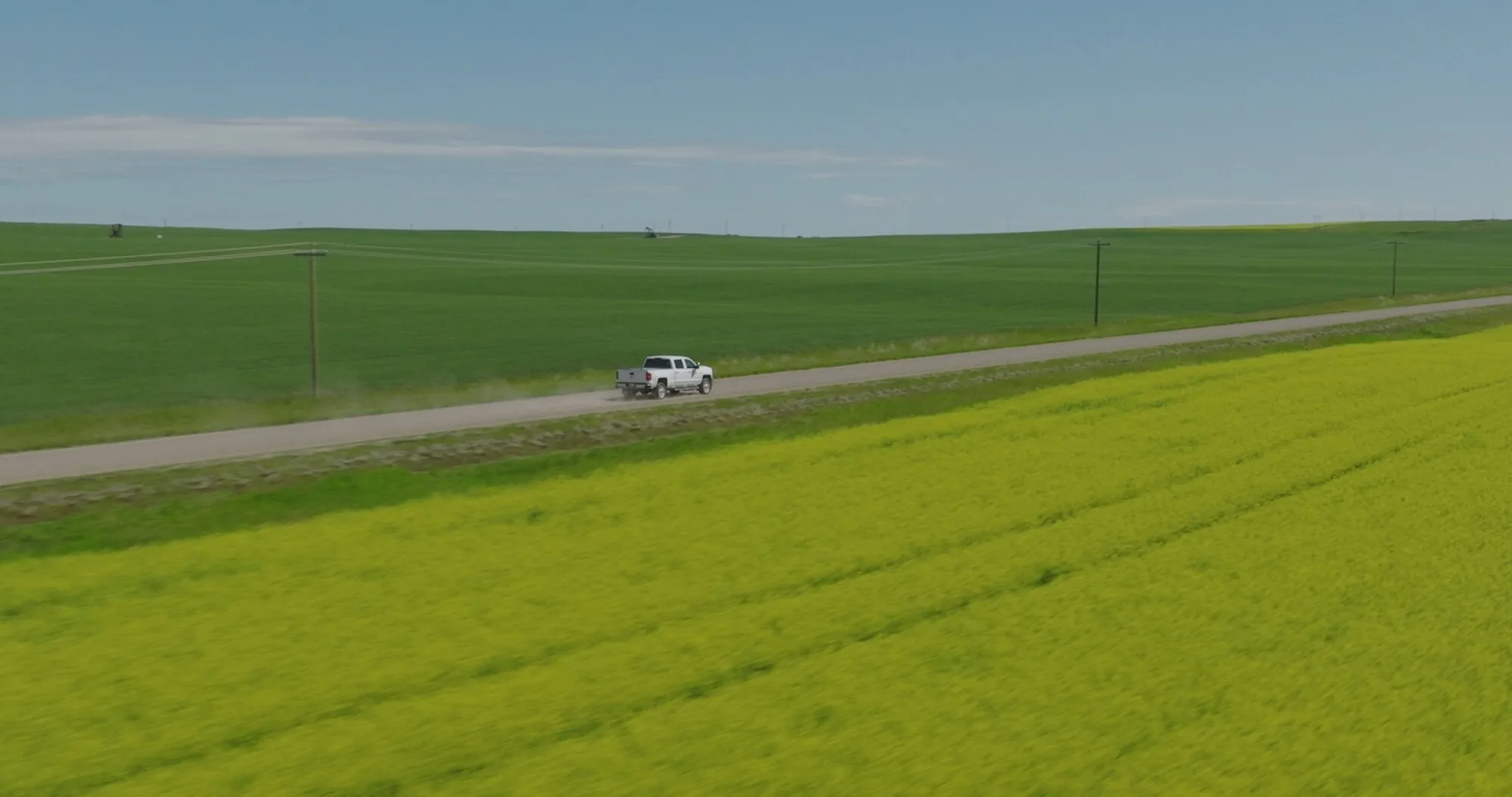Prairie road cutting through canola fields, aerial drone photo