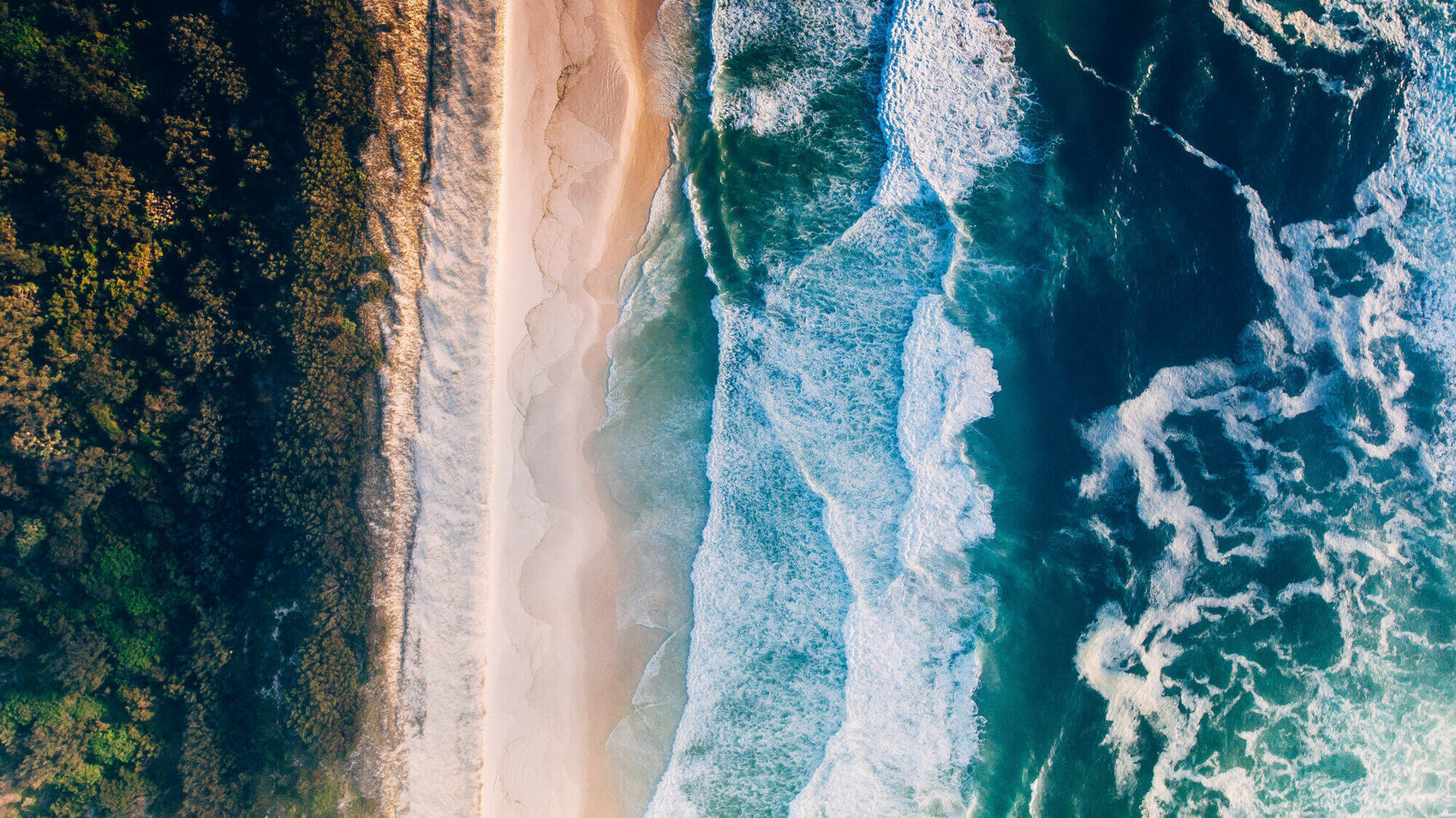 Top-down aerial of waves meeting rainforest beach, Australia