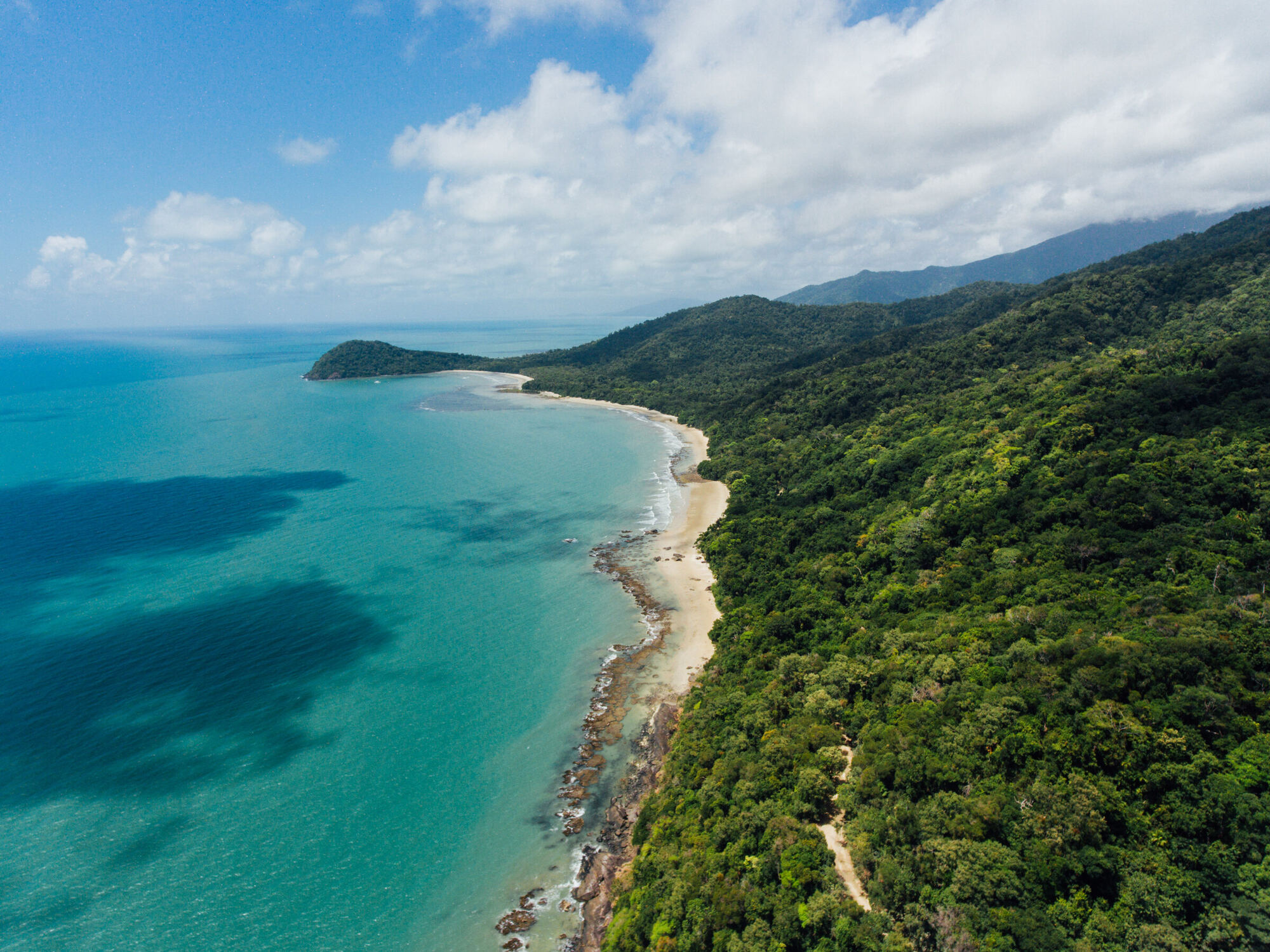 Cape Tribulation rainforest meeting the reef, aerial drone photo, Australia