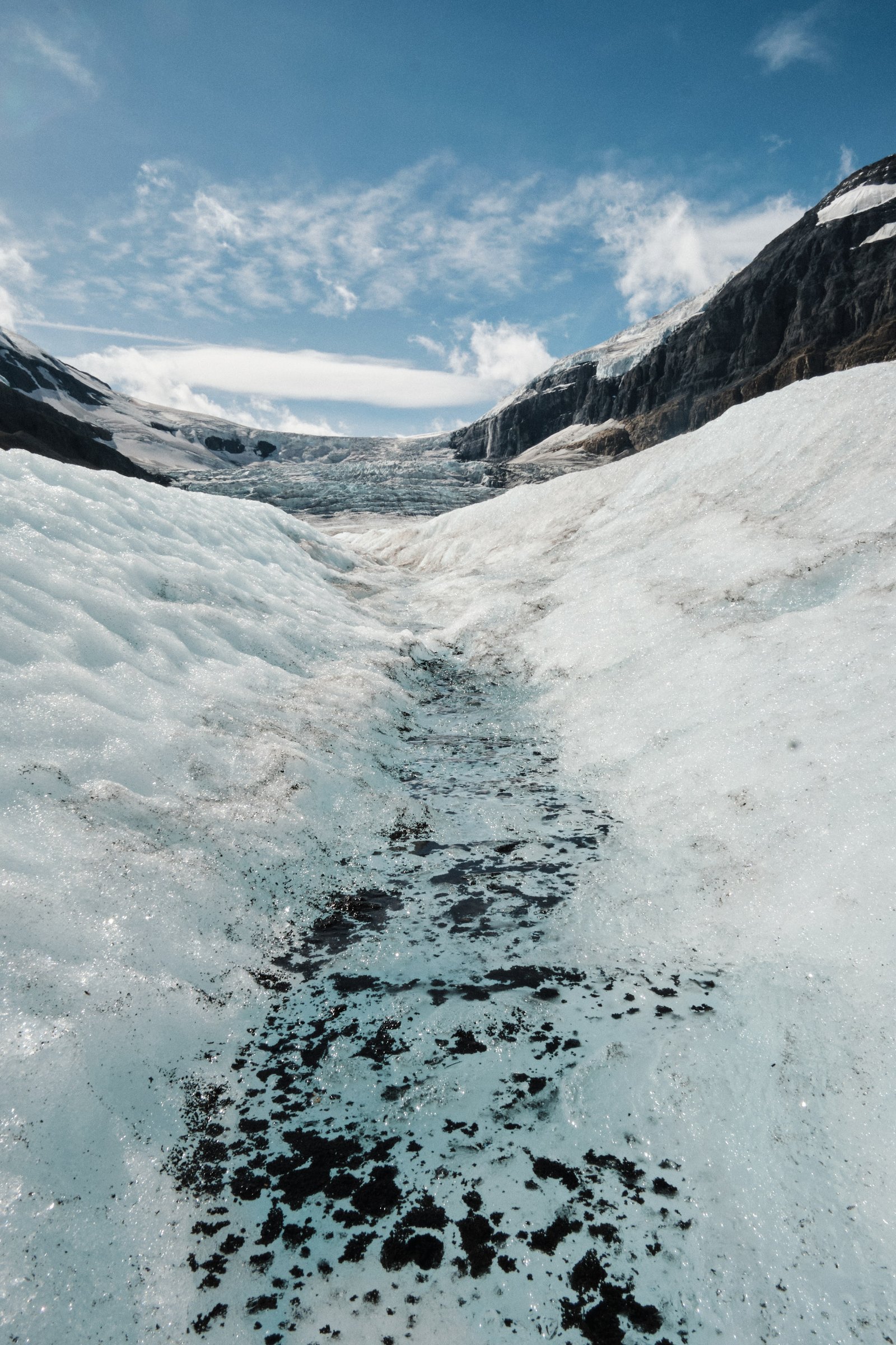 Meltwater channel with cryoconite on Athabasca Glacier surface