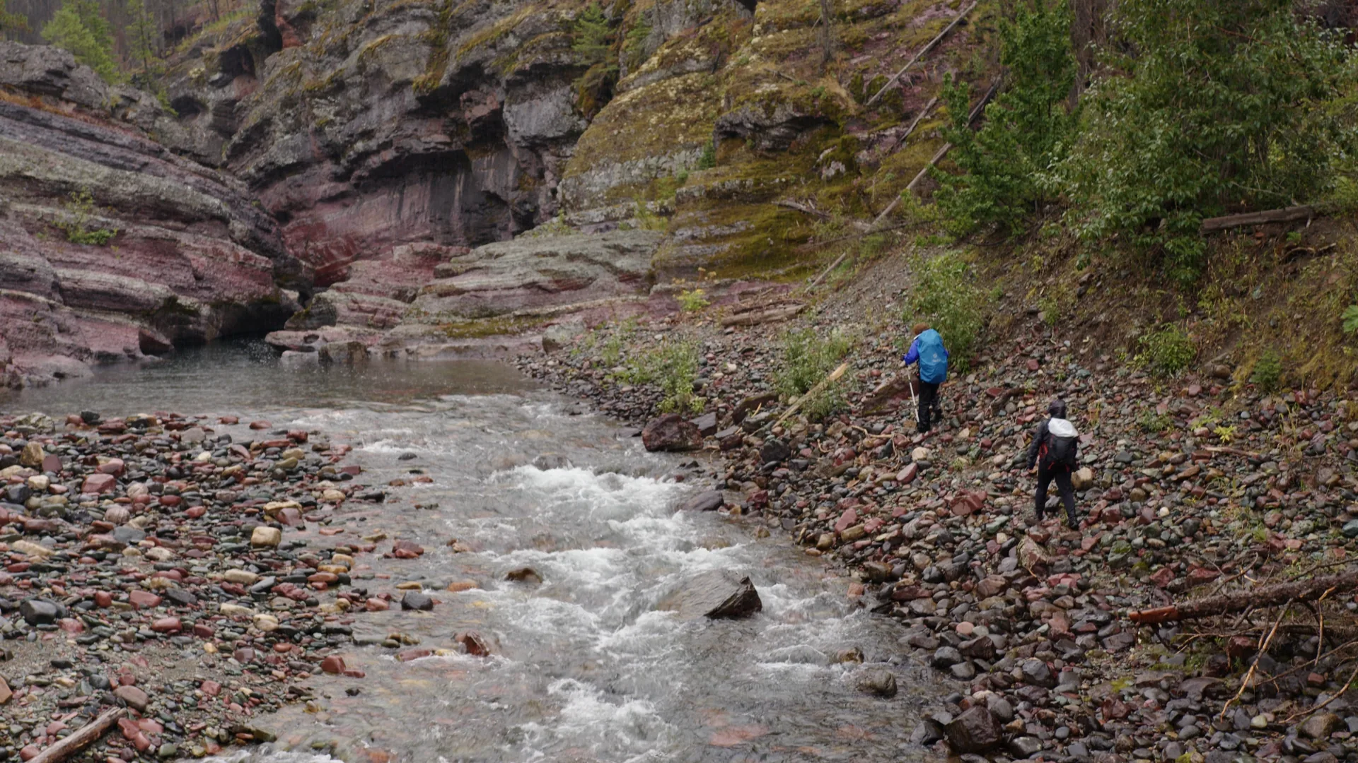 Researchers hiking up a rocky creek bed through a red rock canyon in the Flathead Valley
