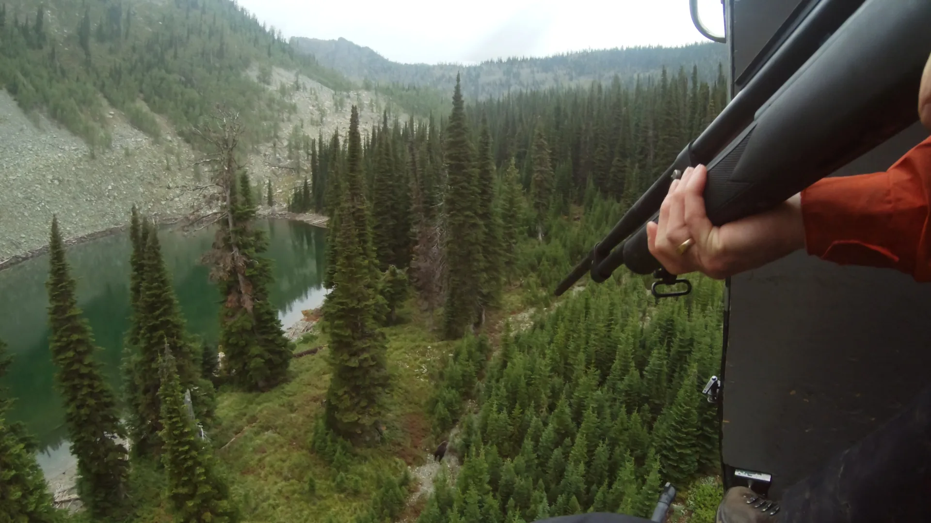 Researcher lining up a dart rifle over a forested valley during the grizzly bear capture