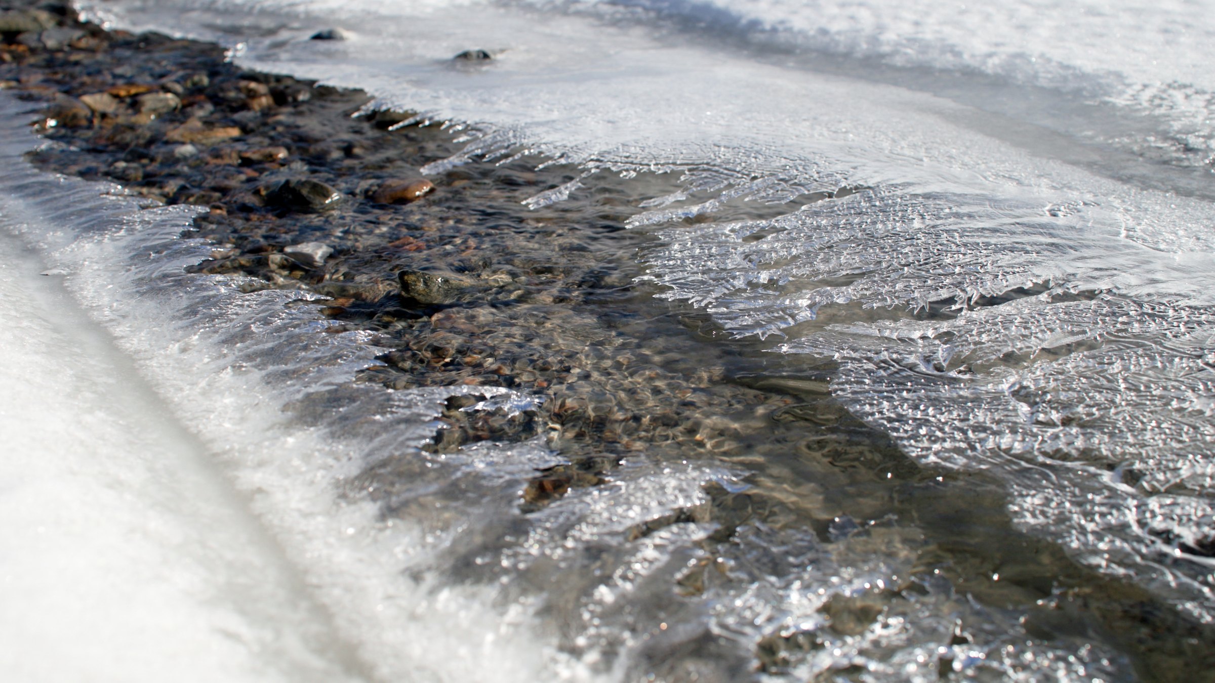 Wild Ice frame