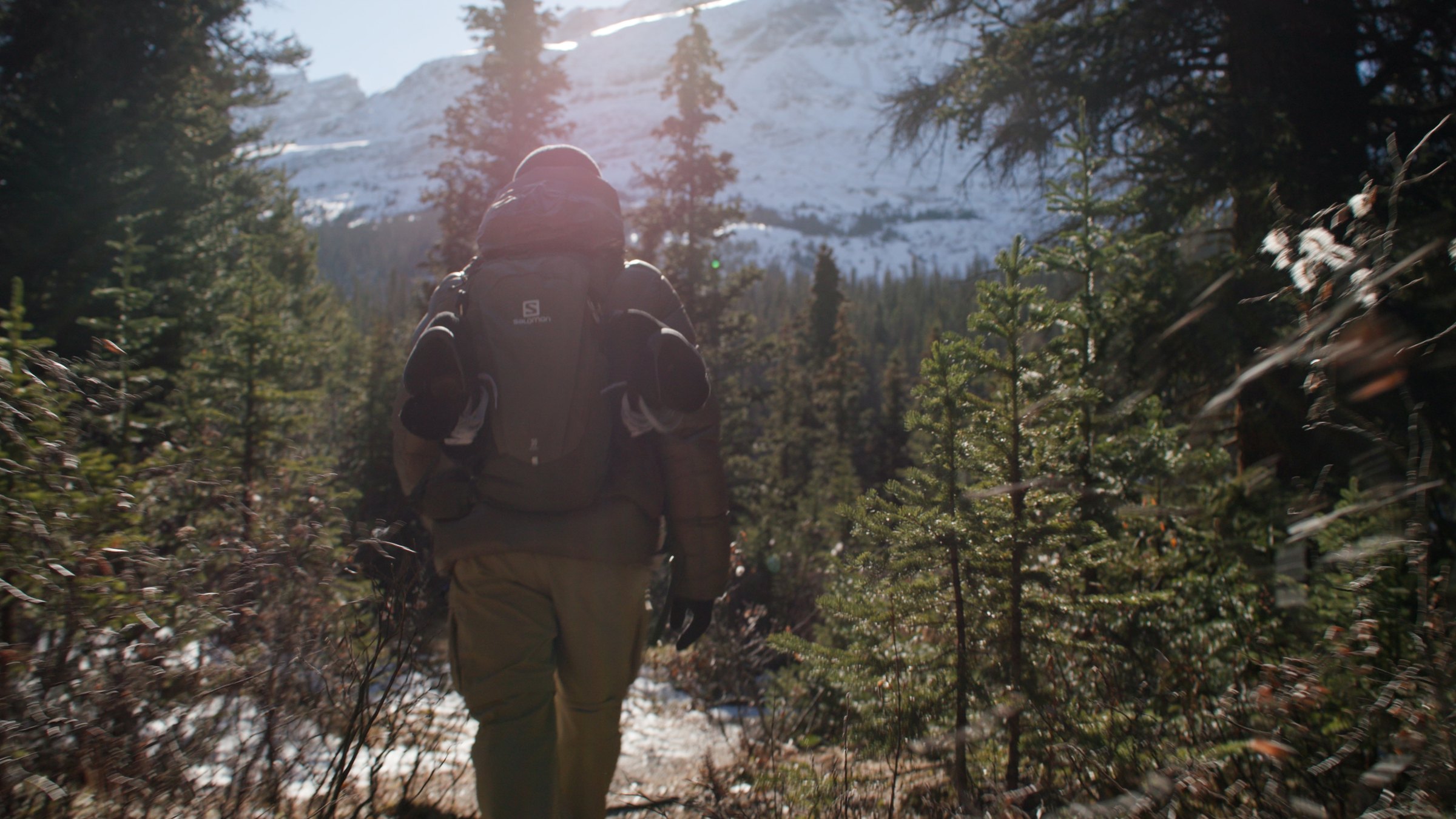 Hiking through forest — Wild Ice