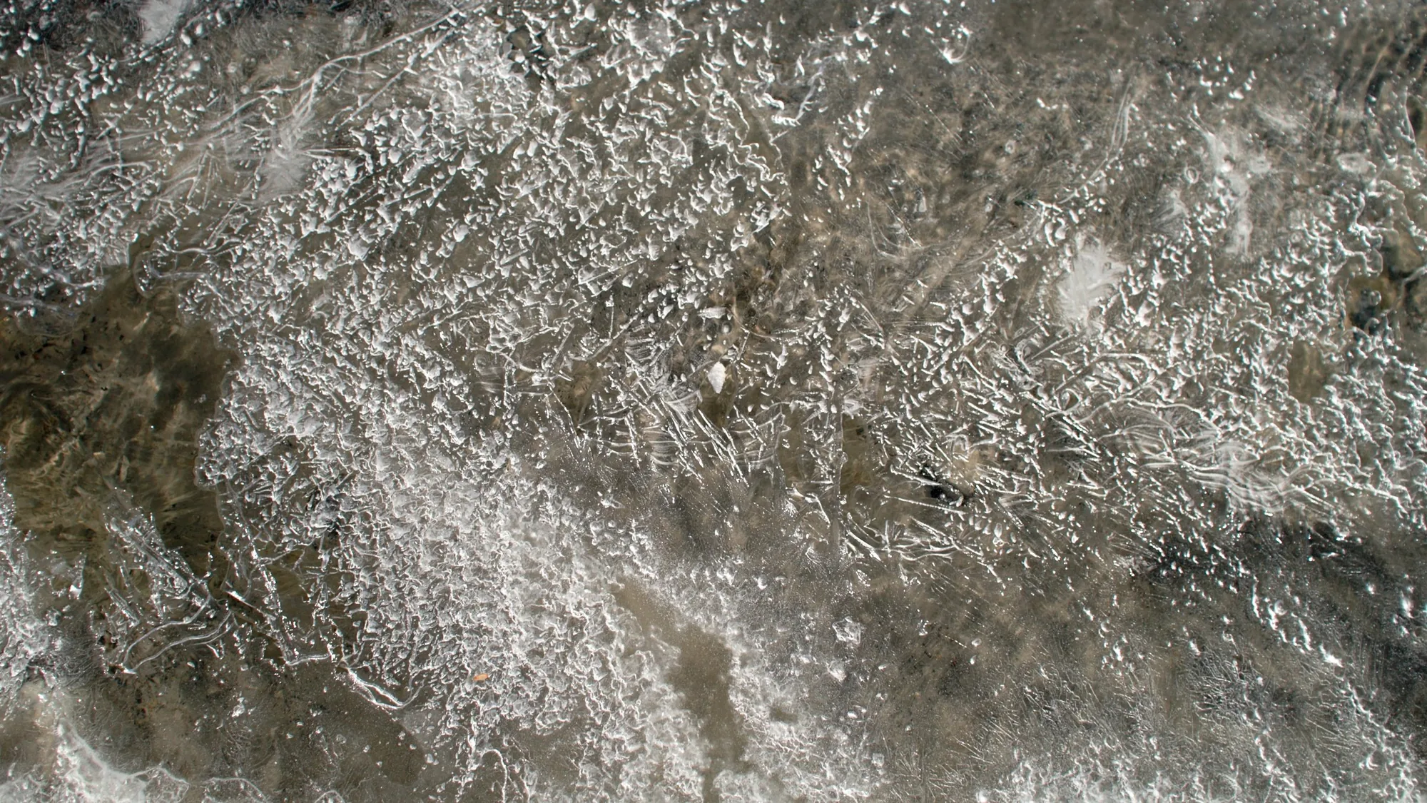 Ice texture — Wild Ice